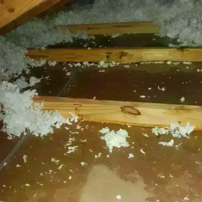 Attic Water Damage in Light Street, PA